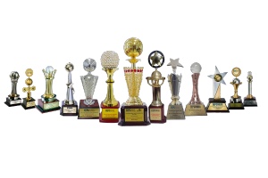 A line up of award trophies